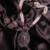 Royal Ruby Radiance Pearl Necklace Set